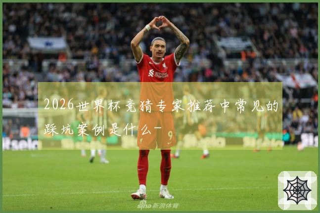 2026世界杯竞猜专家推荐中常见的踩坑案例是什么-
