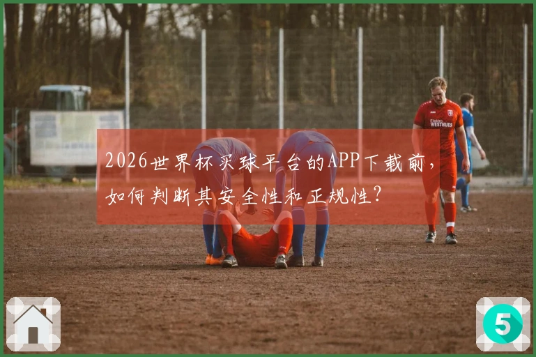 2026世界杯买球平台的APP下载前，如何判断其安全性和正规性？