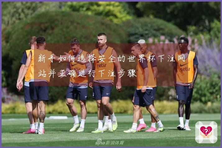 新手如何选择安全的世界杯下注网站并正确进行下注步骤